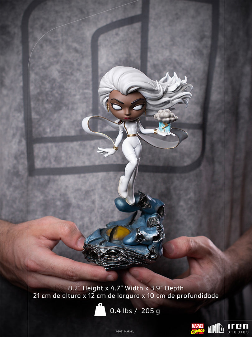 Storm Figur aus Marvel X-Men - Minico